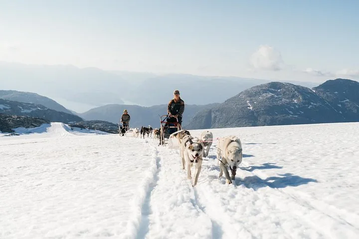 Avventura in slitta con cani e zuppa artica