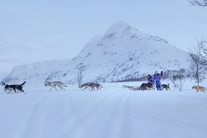 Sled teams on flat snow below a pointed snowy mountain in the Tamok valley