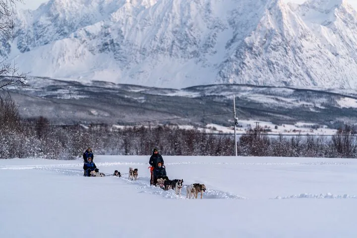 Sled teams crossing a flat snowfield below a wall of steep snowy mountains in Breivikeidet
