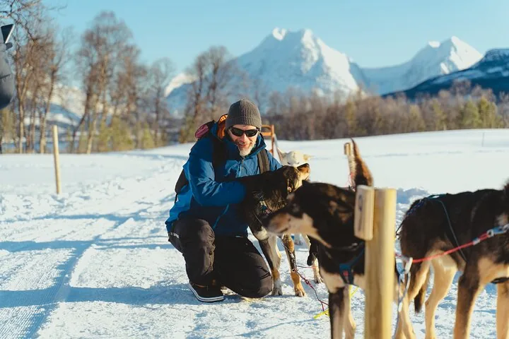 Una guida con una giacca blu inginocchiata accanto a husky bardati nella neve
