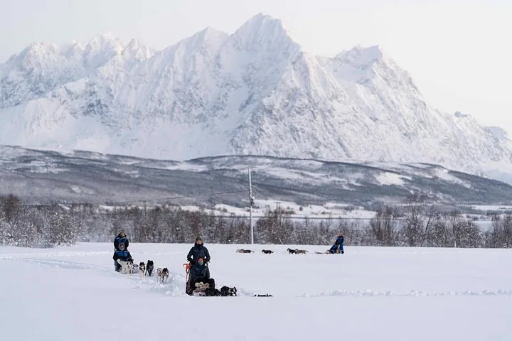 A line of sled teams on a white plain under a ridge of snowy peaks